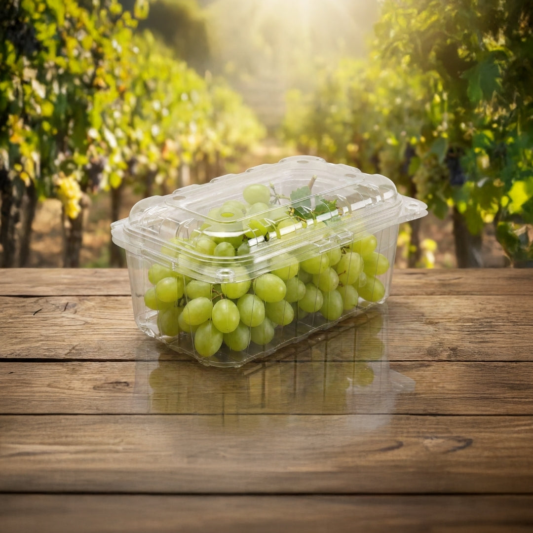 PUNNET 500 - 43 H (PET Punnet)