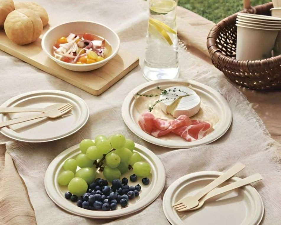 Bagasse plates and bowls