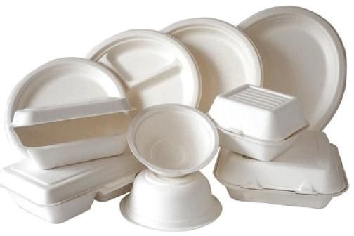 Bagasse