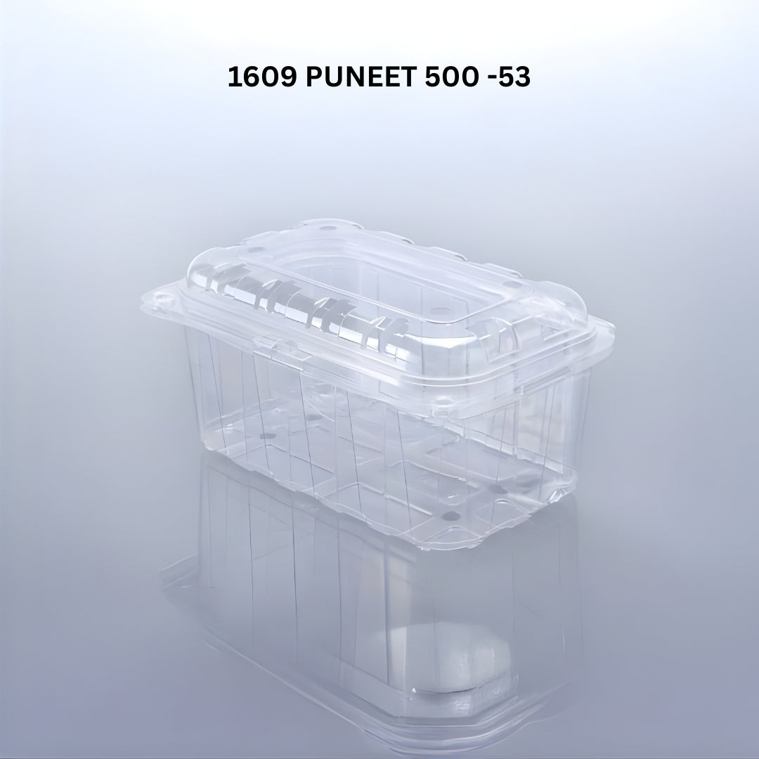 PUNNET 500 - 53 H (PET Punnet)