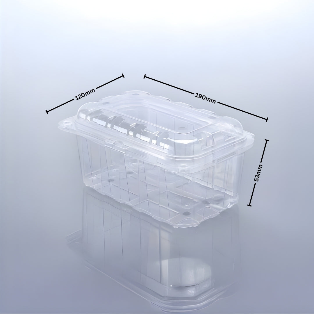 PUNNET 500 - 53 H (PET Punnet)