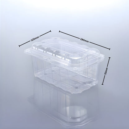 PUNNET 500 - 53 H (PET Punnet)