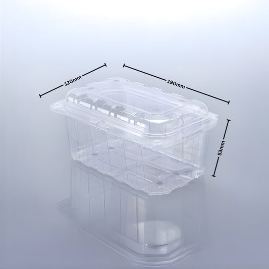 PUNNET 500 - 53 H (PET Punnet)