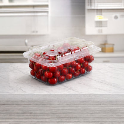 PUNNET 500 - 53 H (PET Punnet)