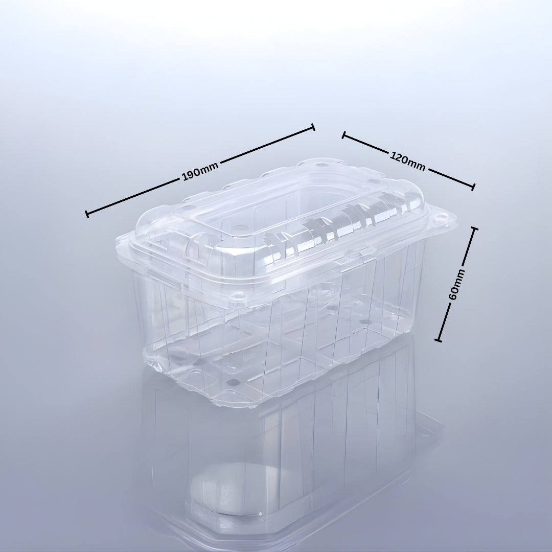 PUNNET 500 - 60 H (PET Punnet)