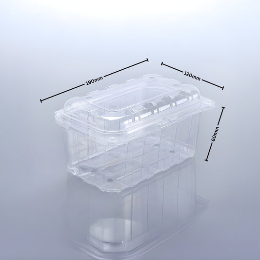 PUNNET 500 - 60 H (PET Punnet)