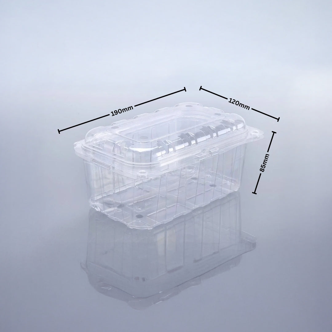 PUNNET 500 GMS (PET Punnet)