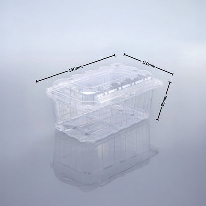 PUNNET 500 GMS (PET Punnet)