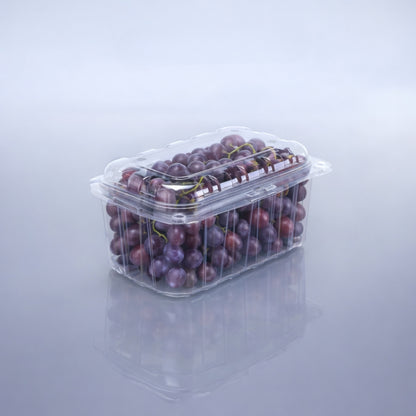 PUNNET 500 GMS (PET Punnet)