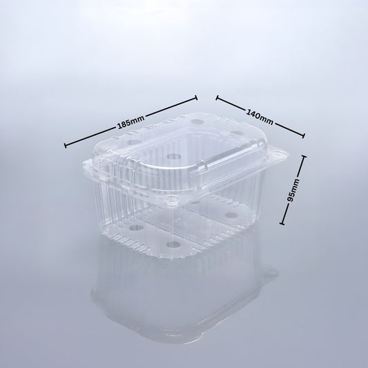 PUNNET 750 GMS (PET Punnet)