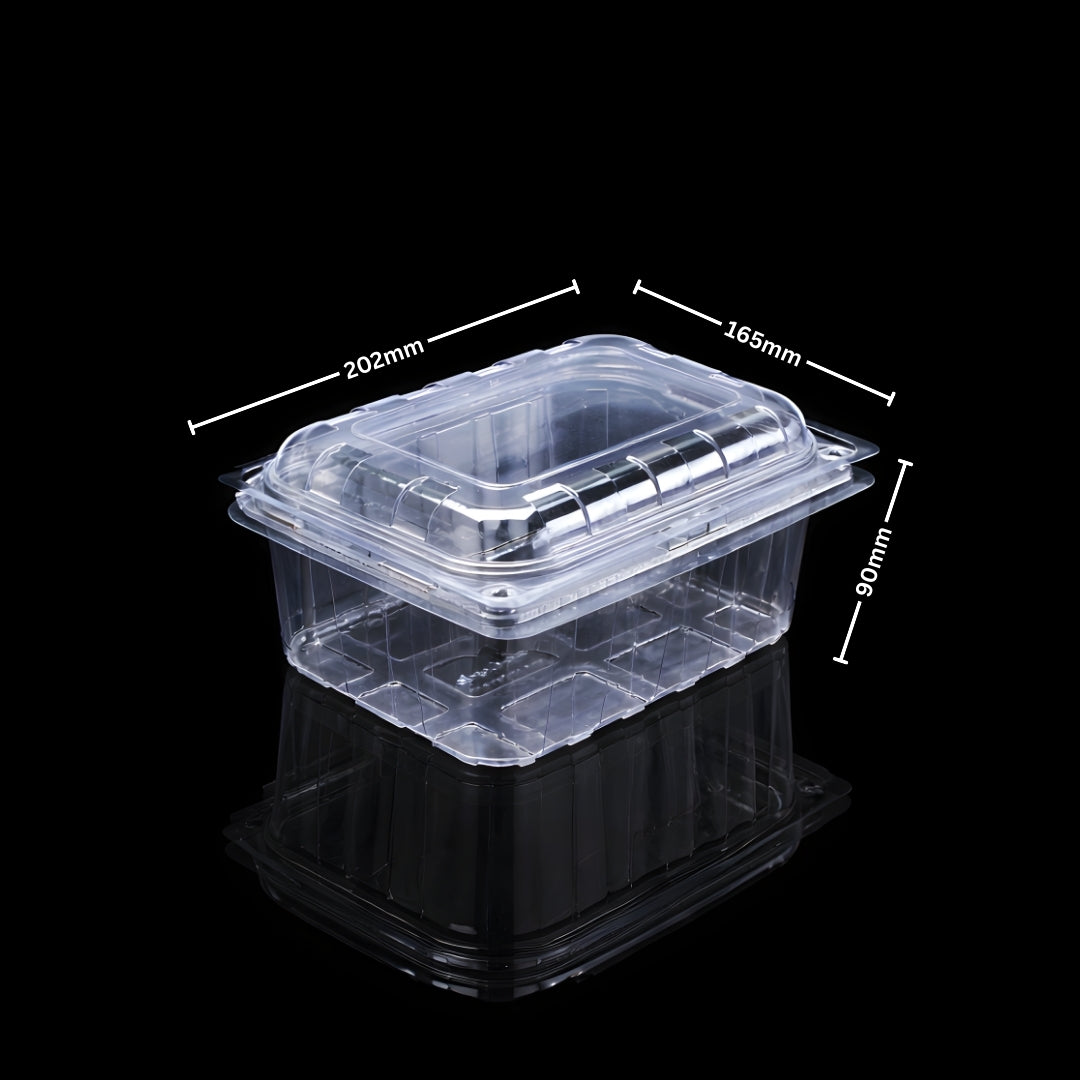 PUNNET 1000 GMS (PET Punnet)