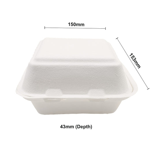 BW 6x6 Burger Clamshell Bento Box