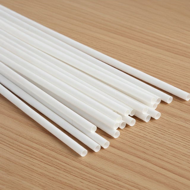 Compostable PLA Straw 6mm