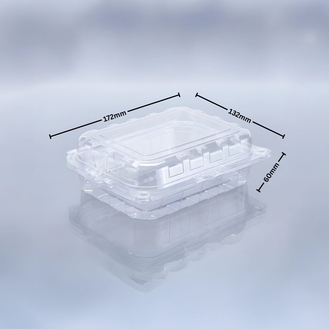 KIWI PUNNET JUMBO 4 (PET Punnet)