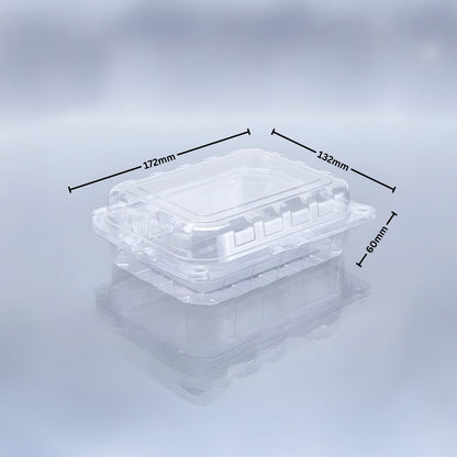 KIWI PUNNET JUMBO 4 (PET Punnet)