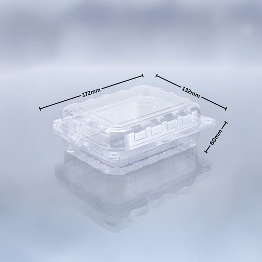 KIWI PUNNET JUMBO 4 (PET Punnet)