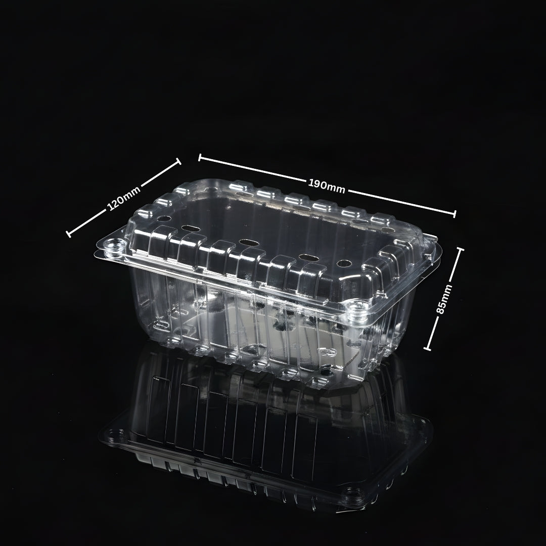 PUNNET 500 GMS (PET Punnet)