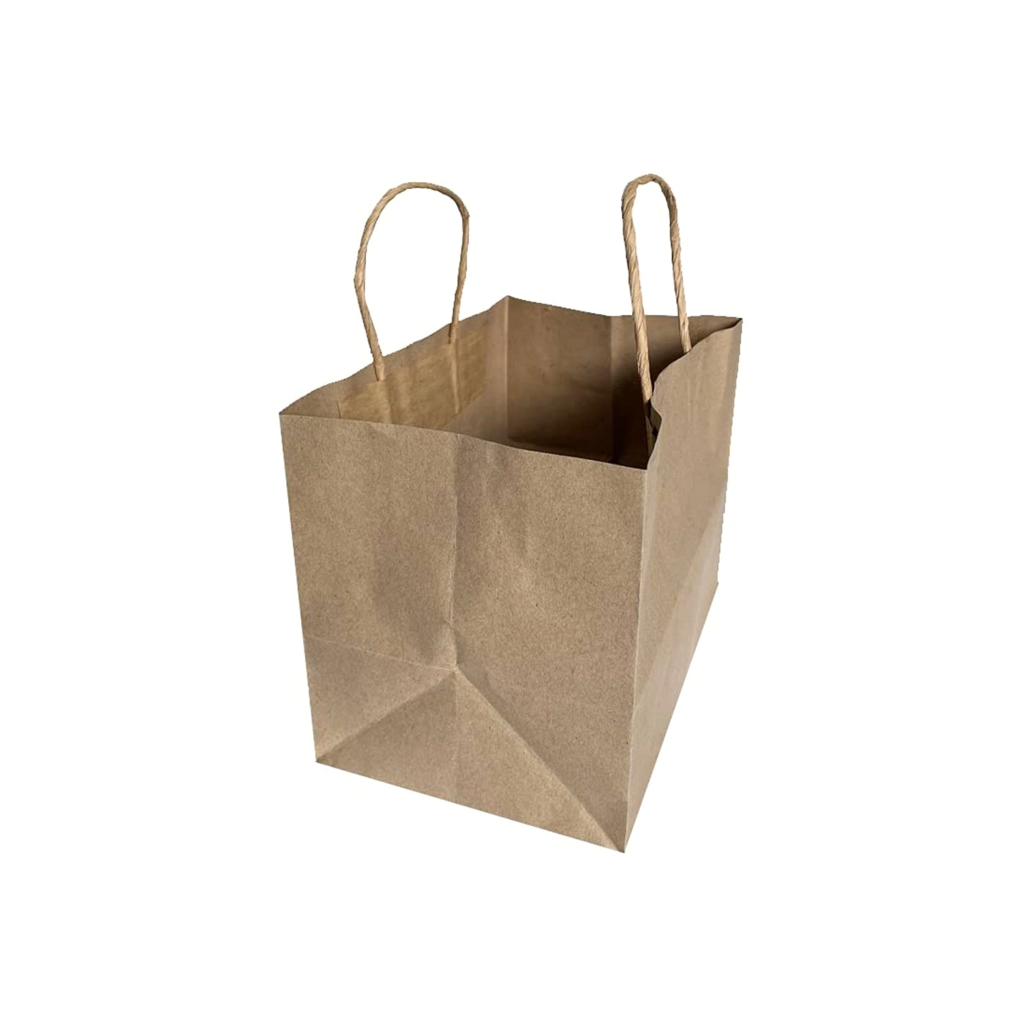 11 x 7 x 10 Inch Paper Carry Bag