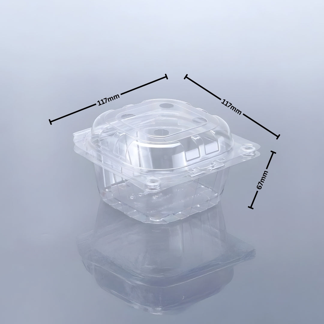 STRAWBERRY PUNNET 240 GMS (PET Punnet)