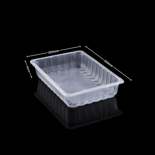 310 × 200 × 55 mm PP Tray