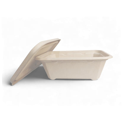 Bumboo 550ml Bagasse Rectangle Container With Lid