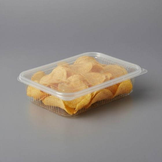 Hinged Box 500 ml Flat