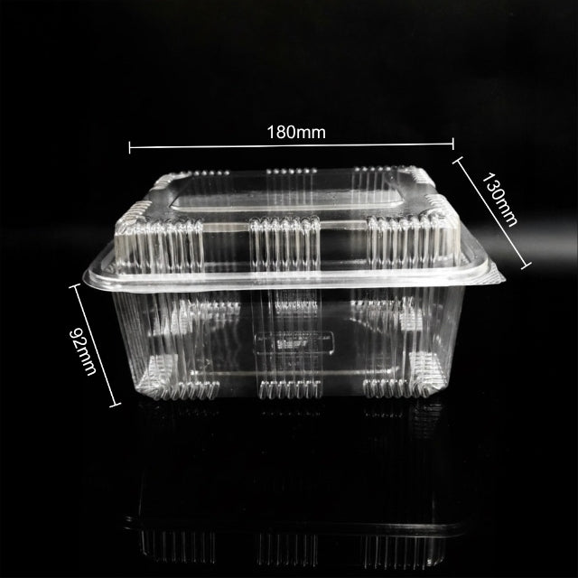 Hinged Box 1000 ml HI LID