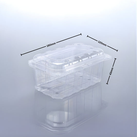 PUNNET 500 - 43 H (PET Punnet)