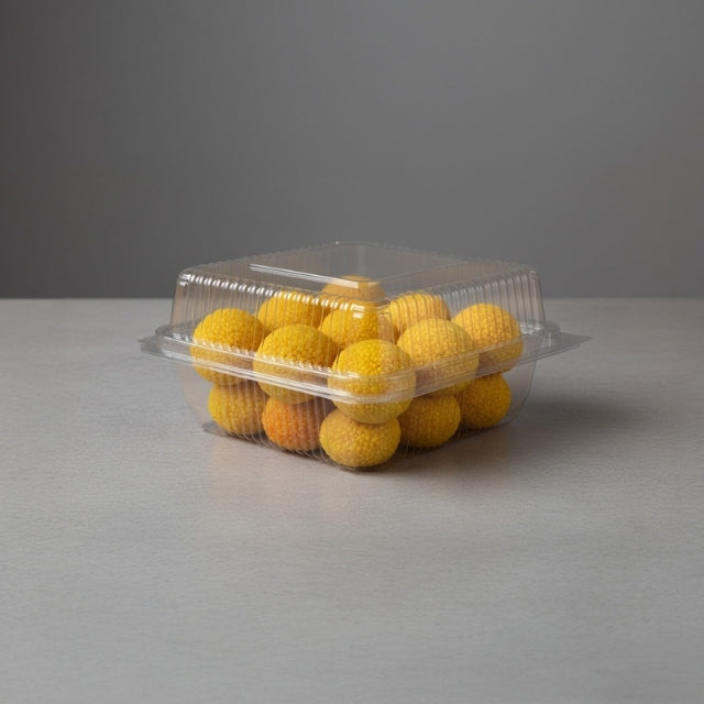 O 10 Hinged Box (1721)