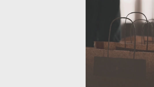 13 x 10 x 13 Inch Cake / Pizza Bag